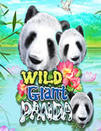 สมัคร jetsada lotto: เริ่มต้นสู่การคว้ารางวัลใหญ่ในเว็บลอตโต้ออนไลน์